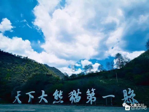 芭比的大学之旅